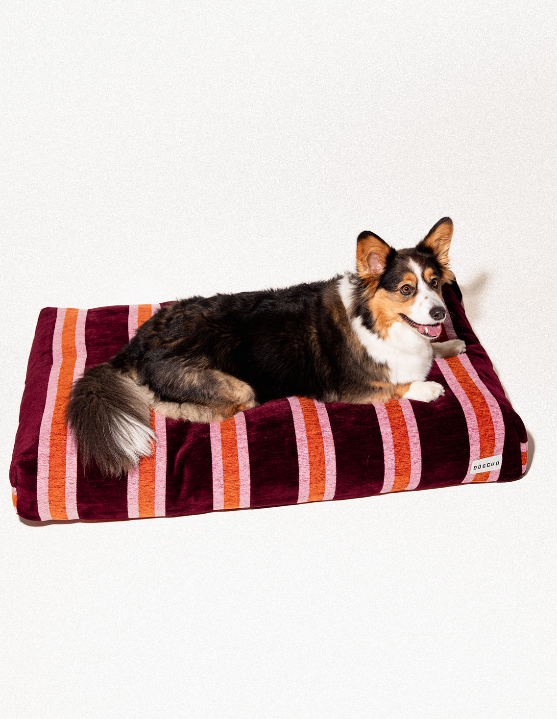 アウトドア寝具 DOG COT ND ver RETRO STRIPE WHAT WE WANT Stripe dog bed – Dogguo.com