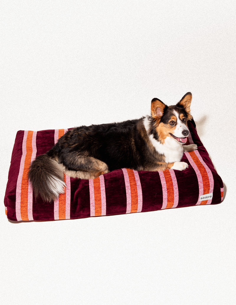 Streep hondenmand - PRE ORDER - Verzending rond 23 december