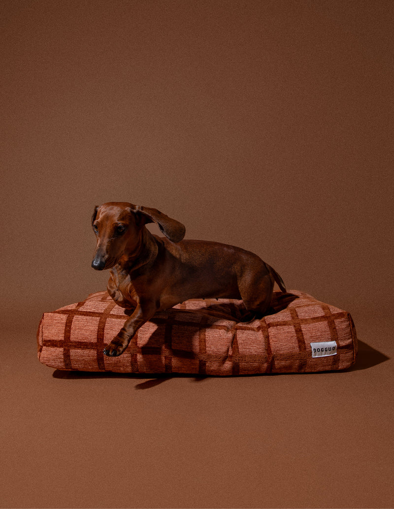 Check hondenmand - PRE ORDER - Verzending rond 23 december