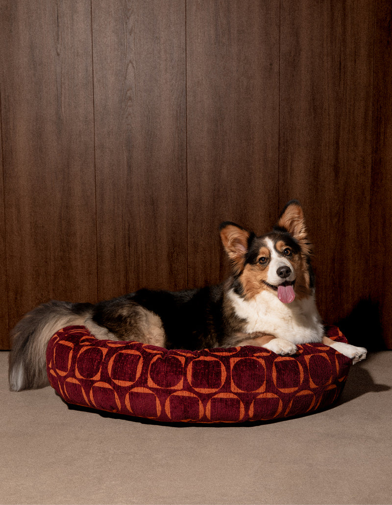 Retro ronde hondenmand - PRE ORDER - Verzending rond 23 december