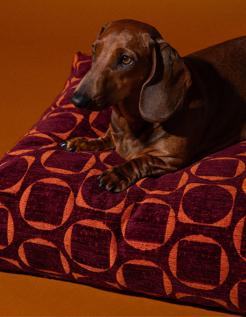 Retro hondenmand - PRE ORDER - Verzending rond 23 december