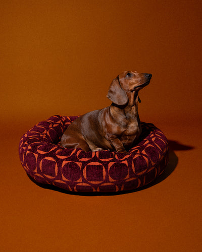 Retro round dog bed second image