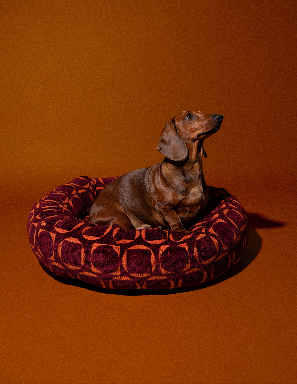 Retro round dog bed