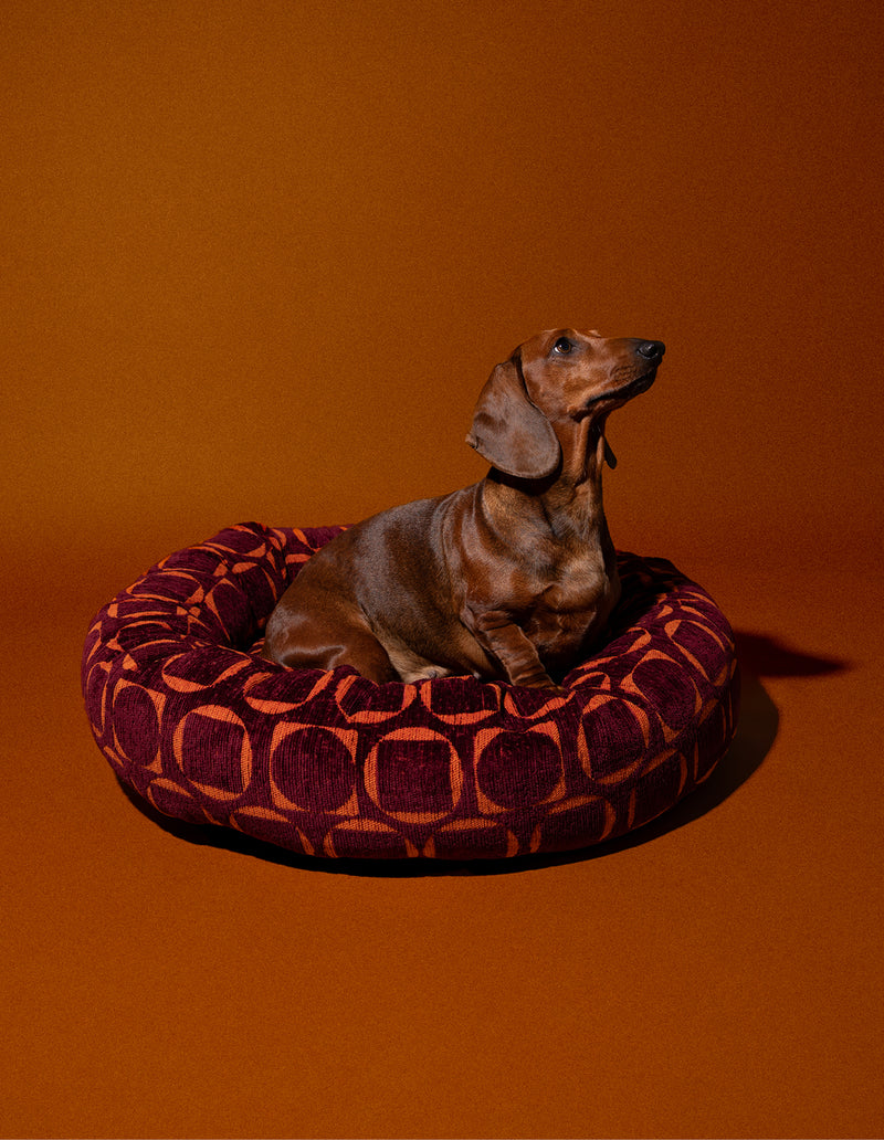 Retro ronde hondenmand - PRE ORDER - Verzending rond 23 december