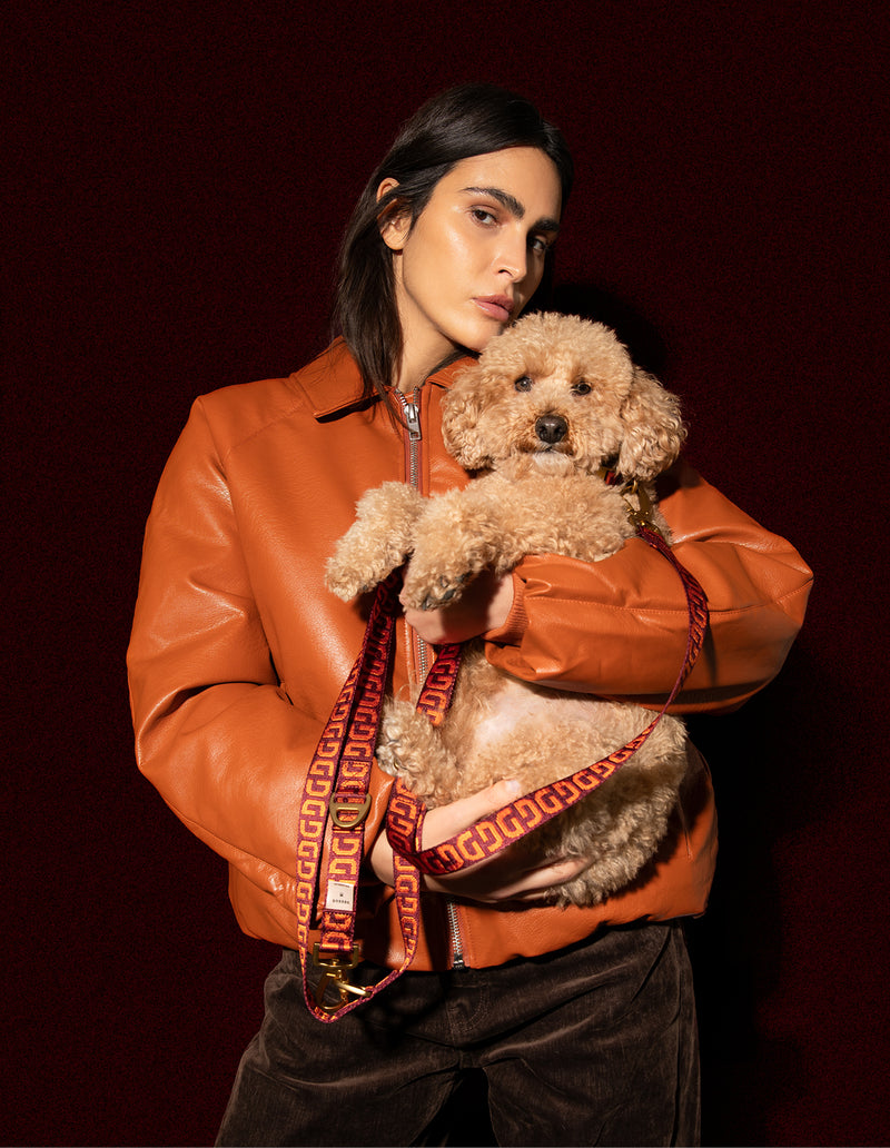 DG hondenriem - PRE ORDER - Verzending rond 23 december