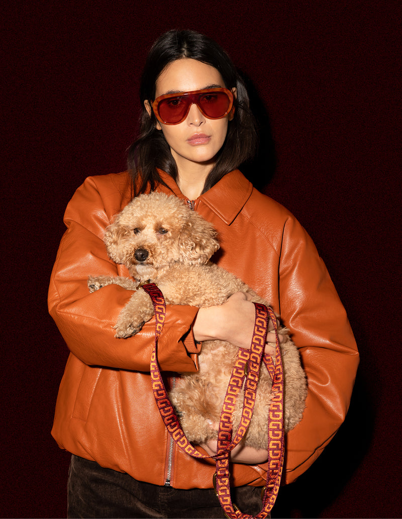 DG hondenriem - PRE ORDER - Verzending rond 23 december