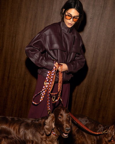 Vichy dog leash second image