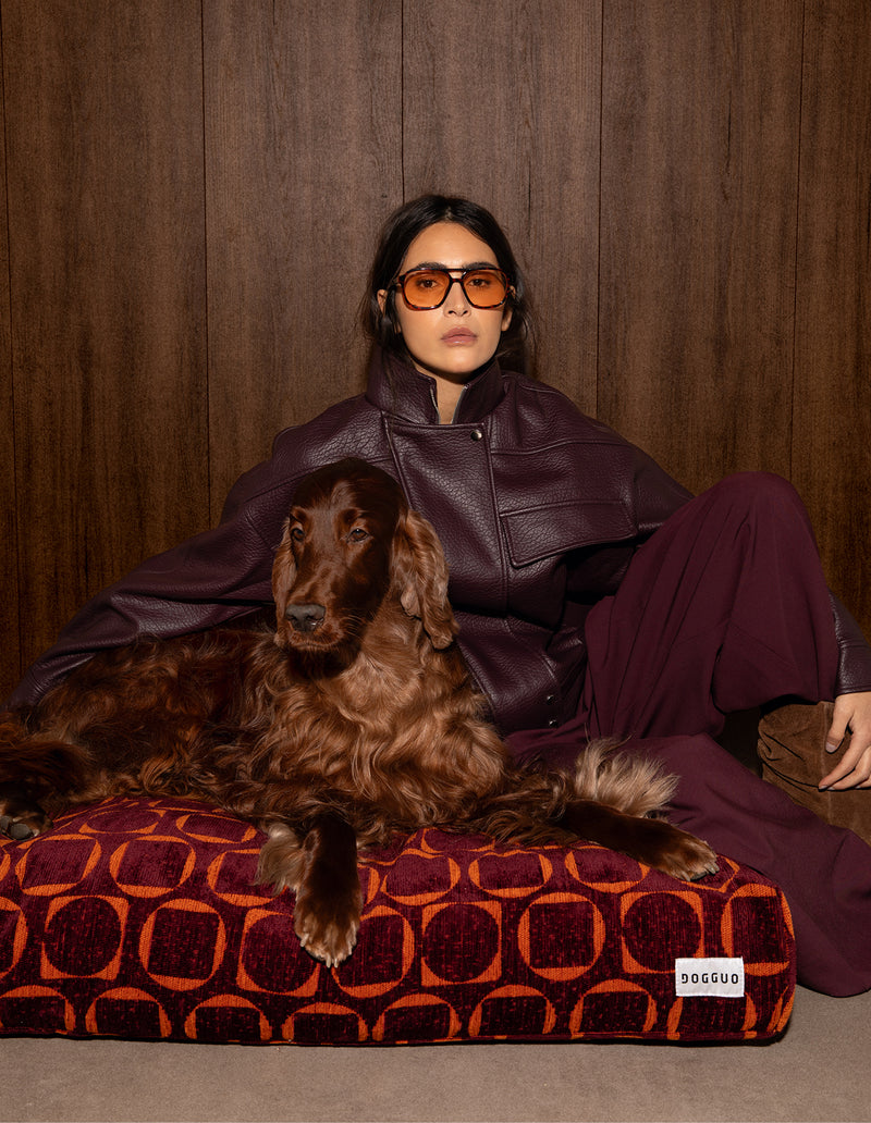 Retro hondenmand - PRE ORDER - Verzending rond 23 december