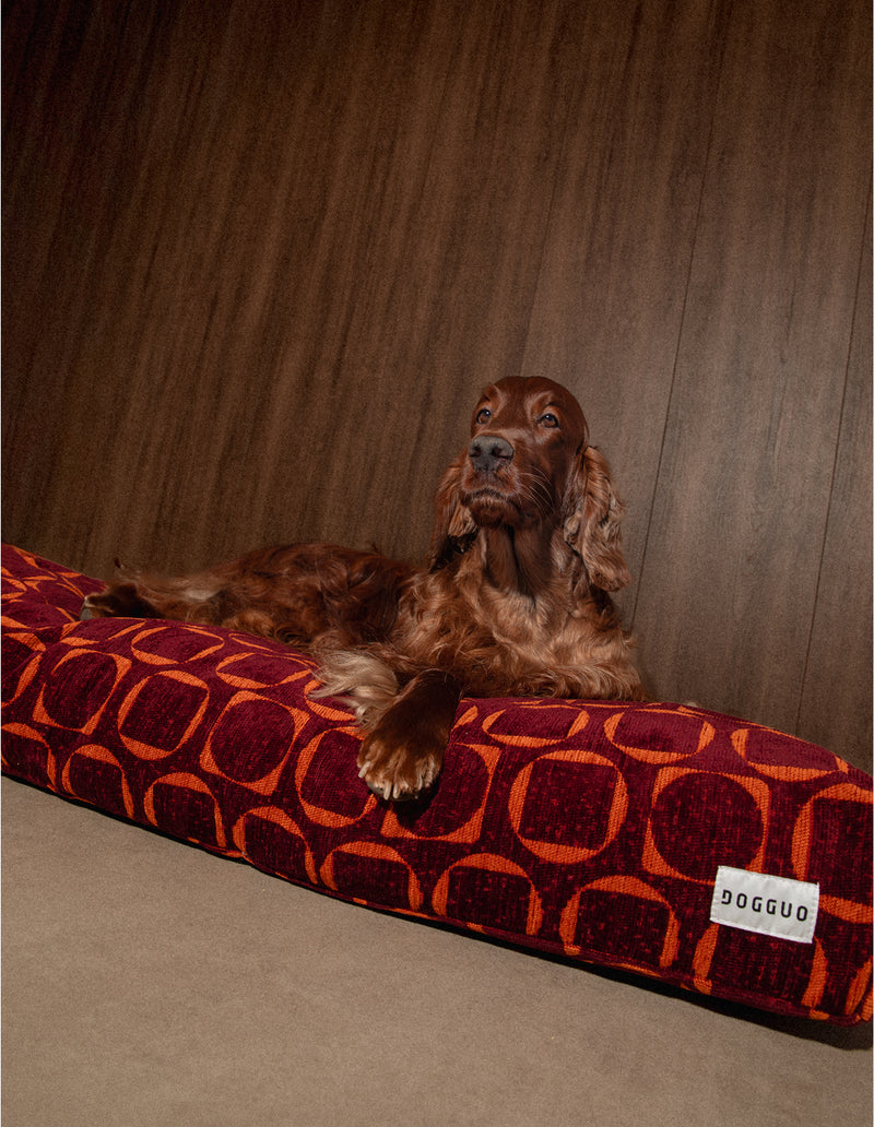 Retro hondenmand - PRE ORDER - Verzending rond 23 december