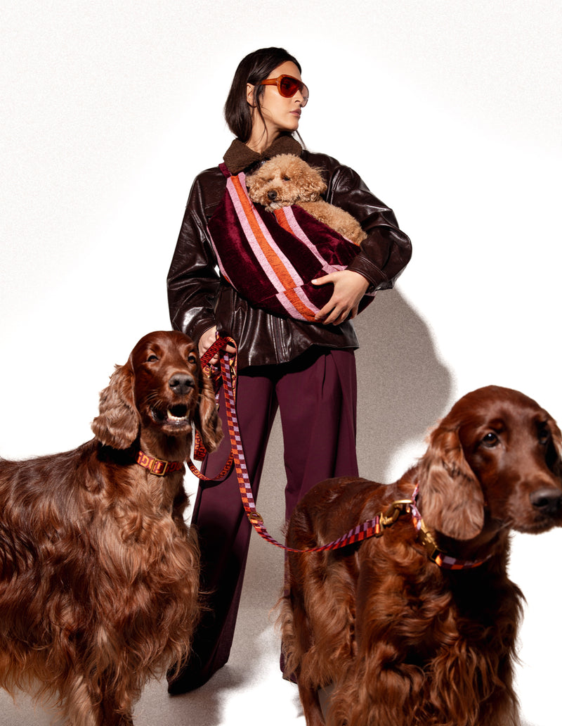 Vichy hondenriem - PRE ORDER - Verzending rond 23 december