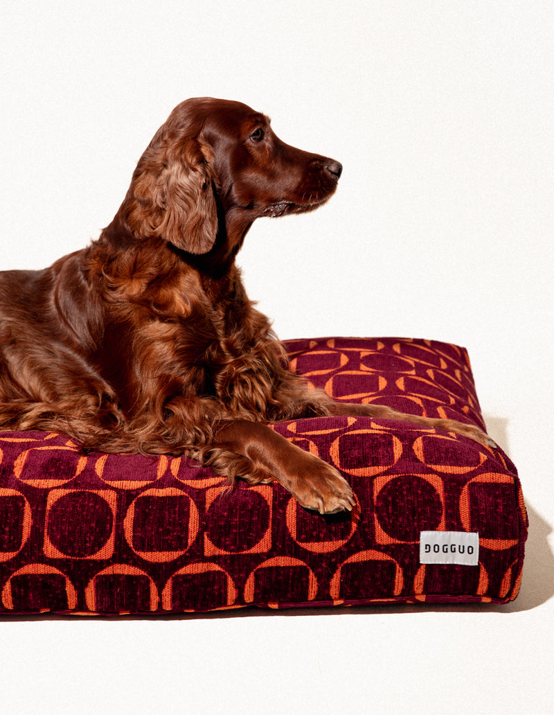 Retro hondenmand - PRE ORDER - Verzending rond 23 december