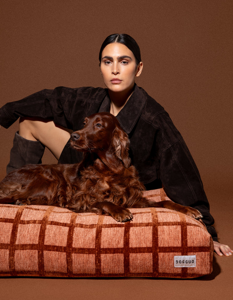 Check hondenmand - PRE ORDER - Verzending rond 23 december