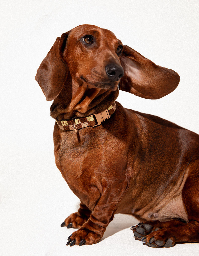 Vichy hondenhalsband - PRE ORDER - Verzending rond 23 december