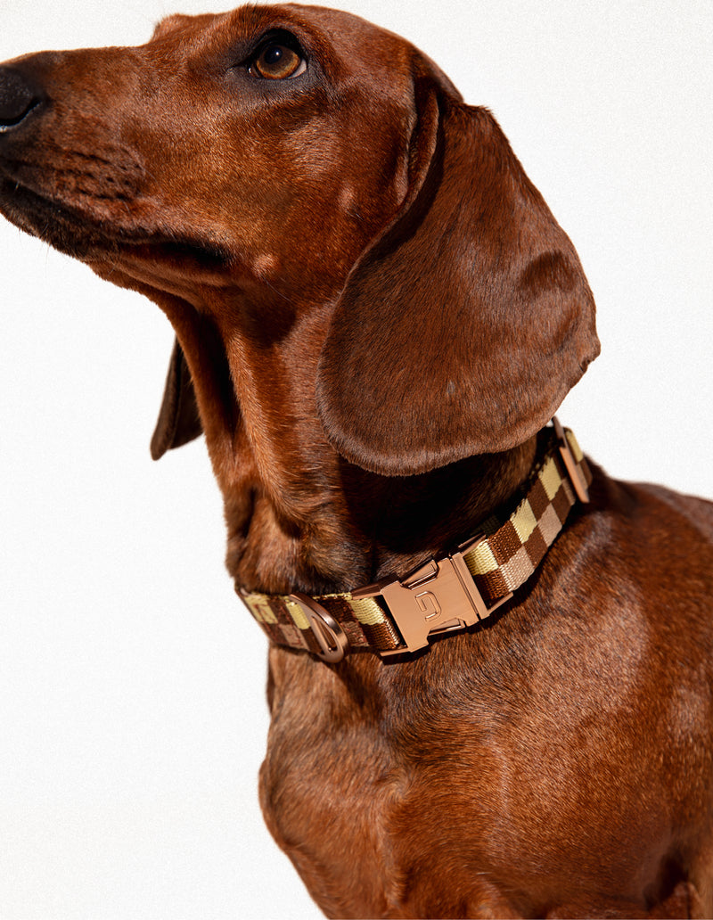 Vichy hondenhalsband - PRE ORDER - Verzending rond 23 december