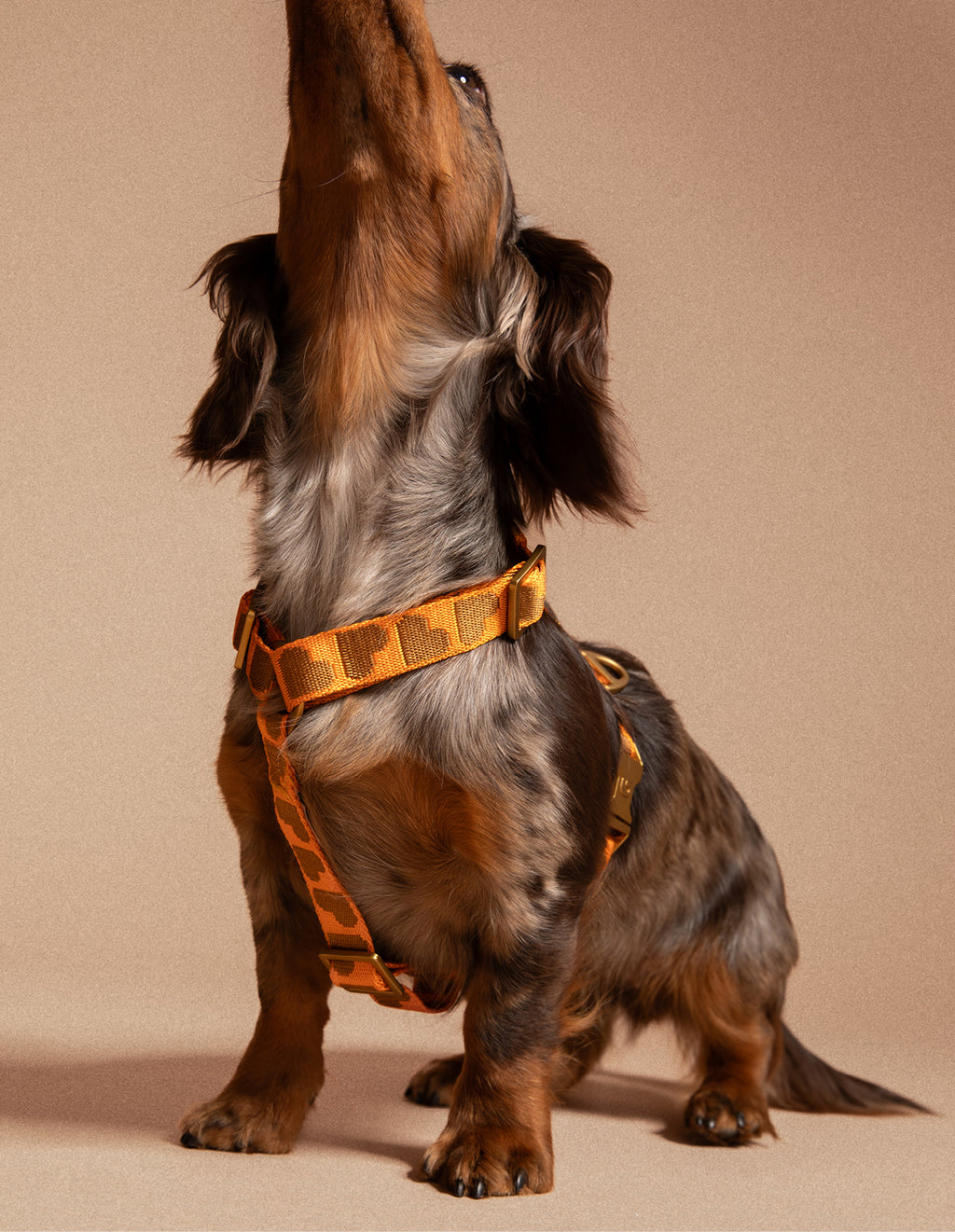Heart dog harness