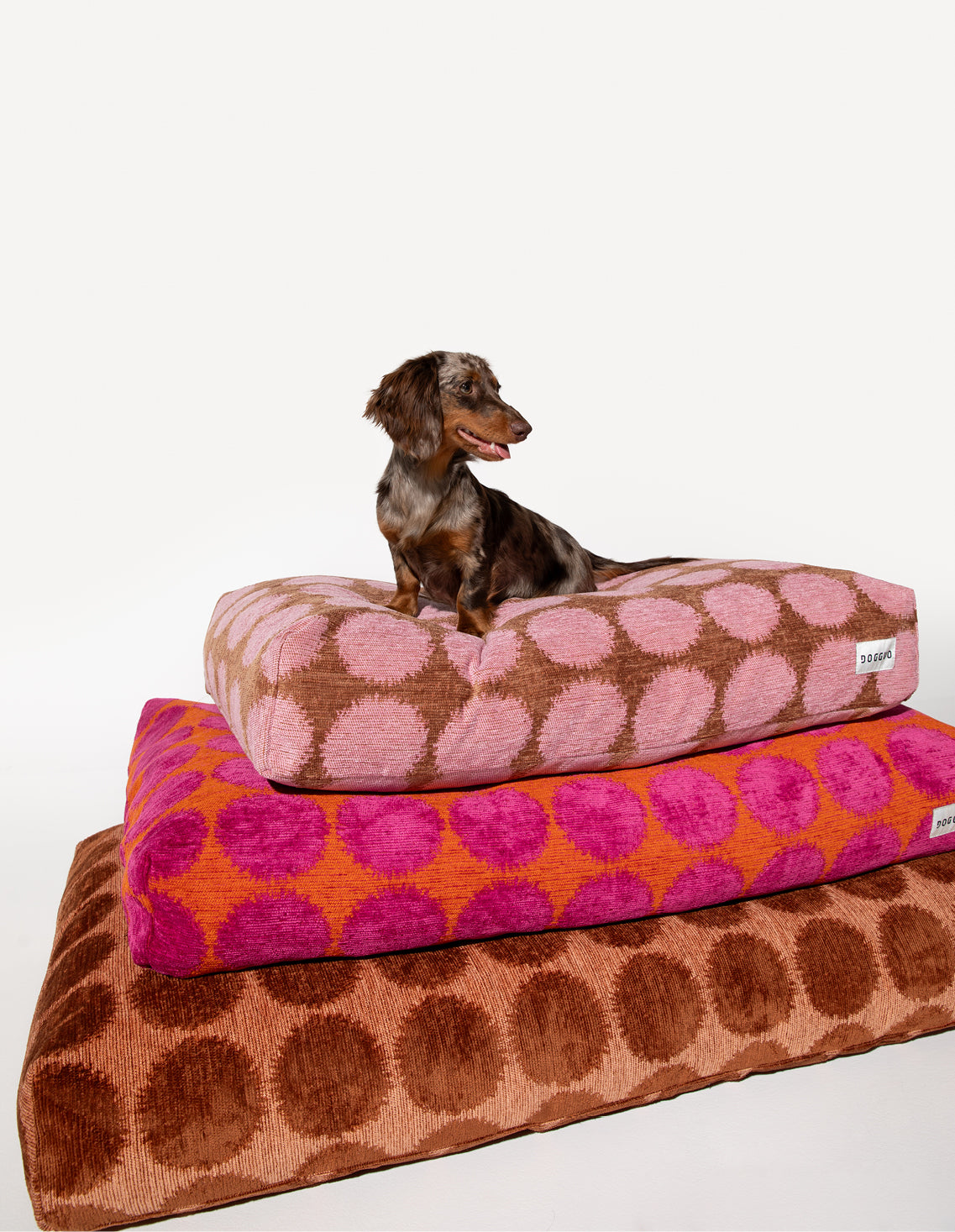 アウトドア寝具 DOG COT ND ver. RETRO STRIPE DOG COT ND ver. RETRO STRIPE