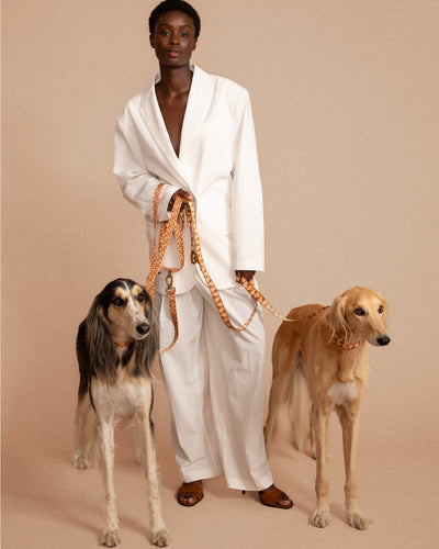 DG dog leash second image