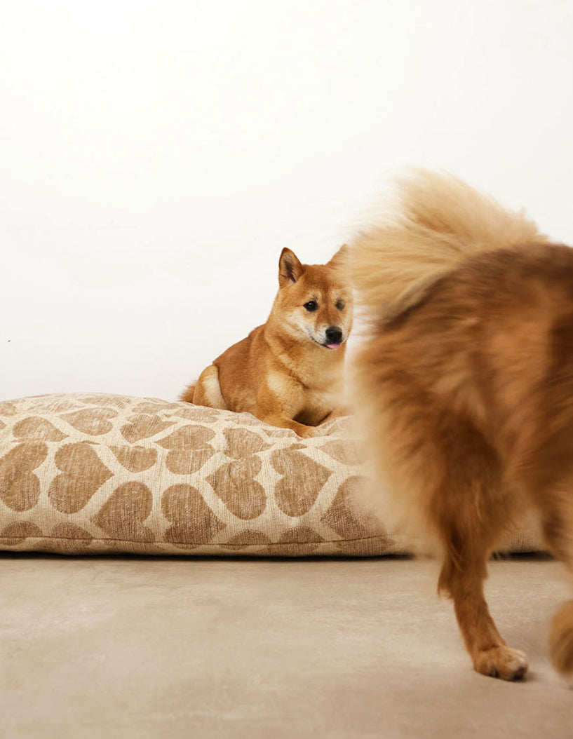 HEART DOG BED - BEIGE