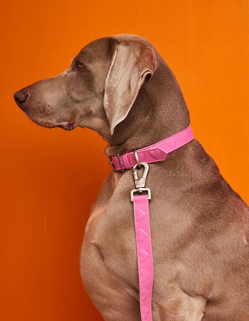 VEGAN LEATHER COLLAR - HEART - PINK