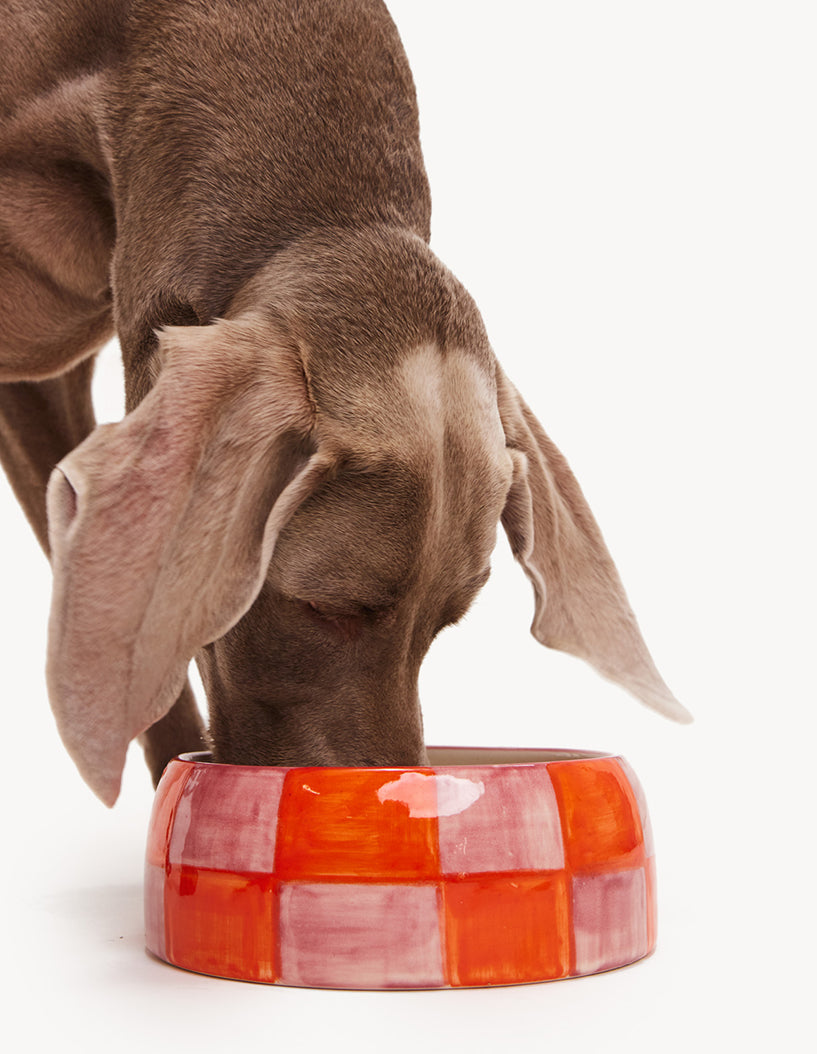 BLOK HONDEN VOERBAK - ROZE / ORANJE