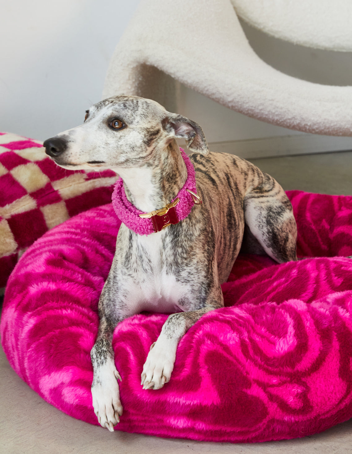 Greyhound dog bed clearance size