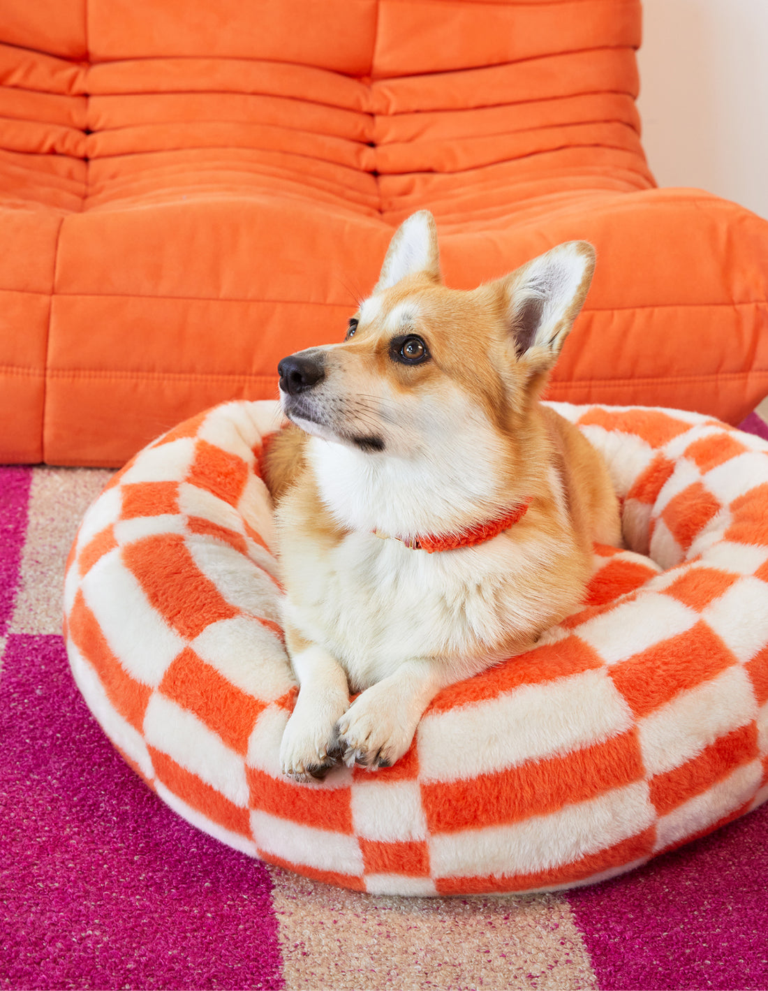 Block round dog bed - orange / beige