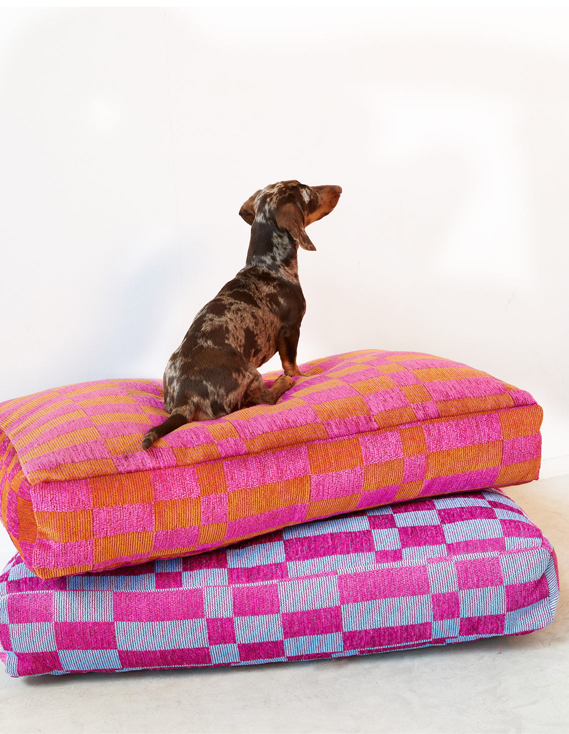 Pink dog deals bedding