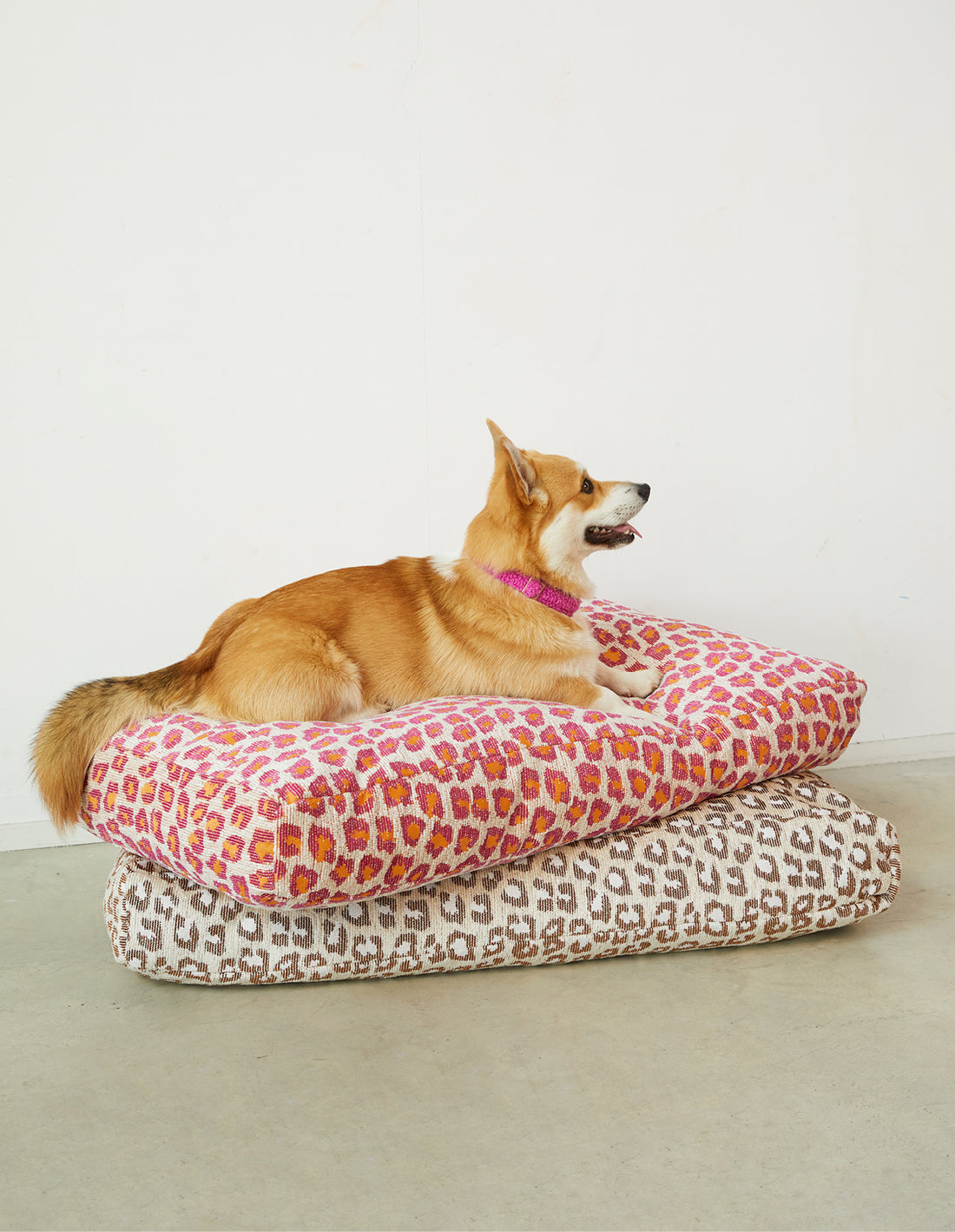 Leopard dog bed - magenta / beige / orange