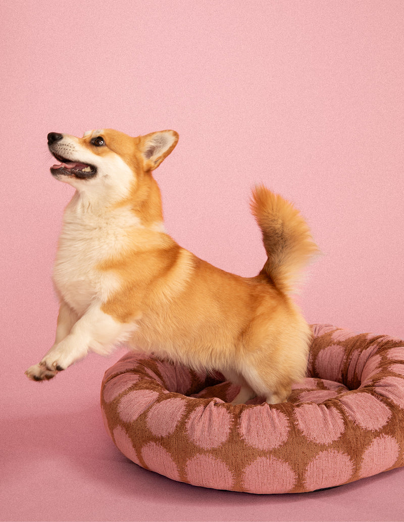 Dot round dog bed