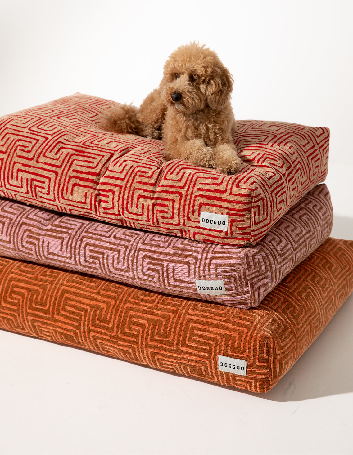 DOG COT ND ver RETRO STRIPE WHAT WE WANT