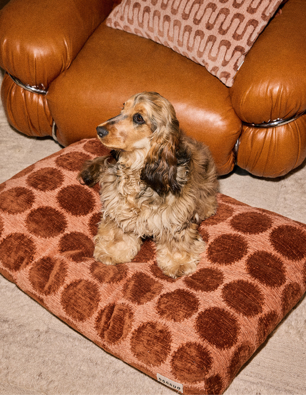 Dot dog bed