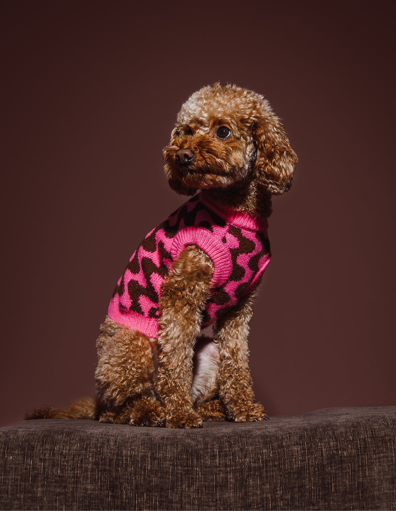 WAVEY HONDEN TRUI - BRUIN / ROZE