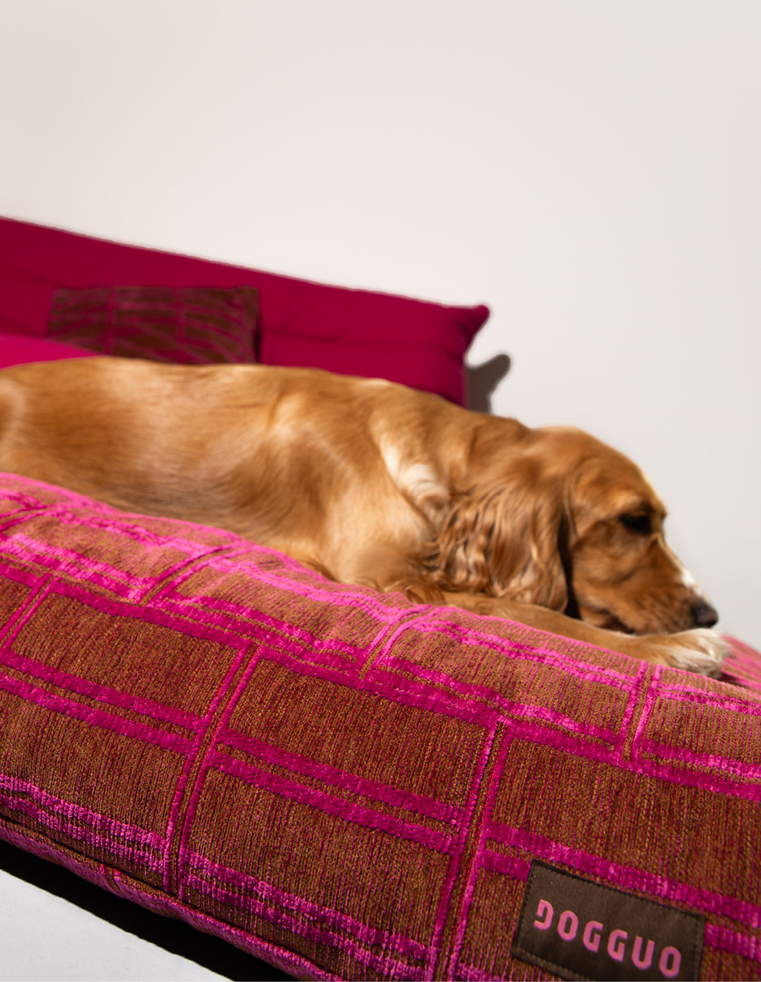 CHECK DOG BED - BROWN / PINK