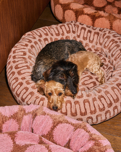 Retro wave ronde hondenmand  second image