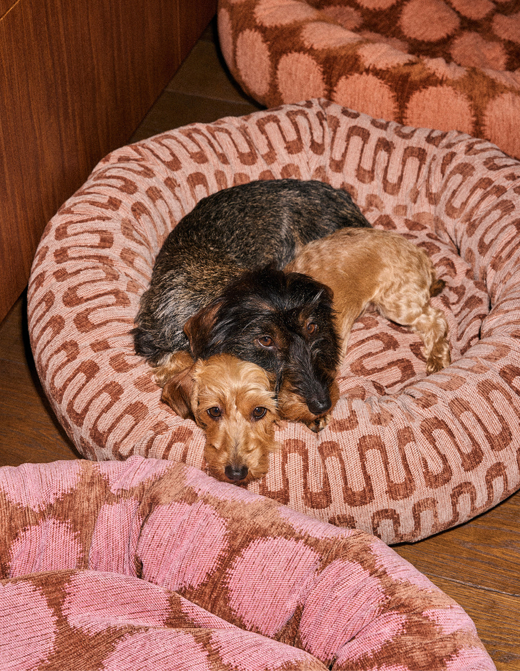 Retro wave round dog bed