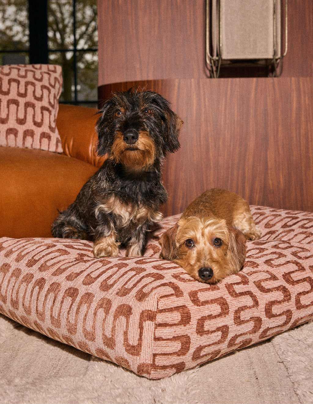Retro wave dog bed