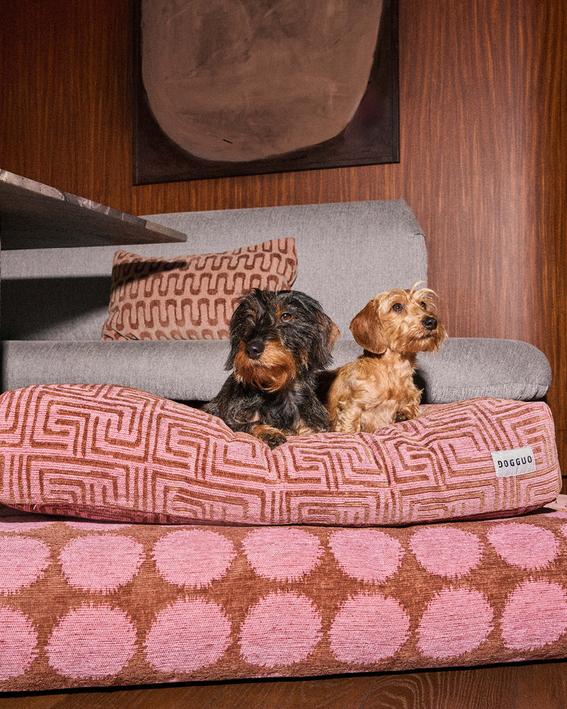 Trend van het seizoen - mocha & pink