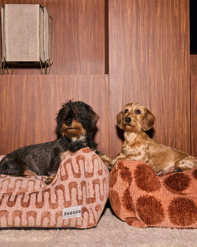 Stip sofa hondenmand second image