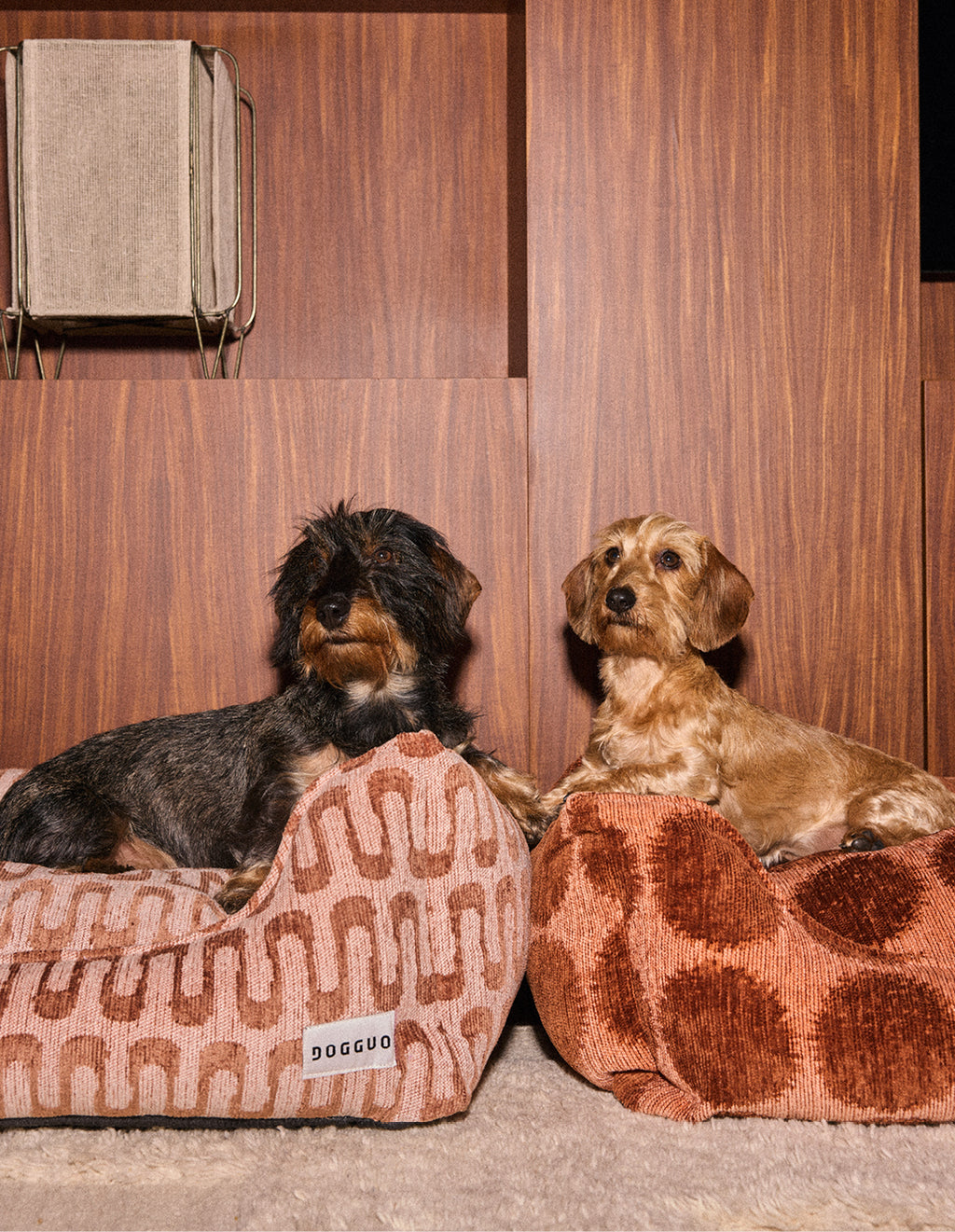 Dot sofa dog bed