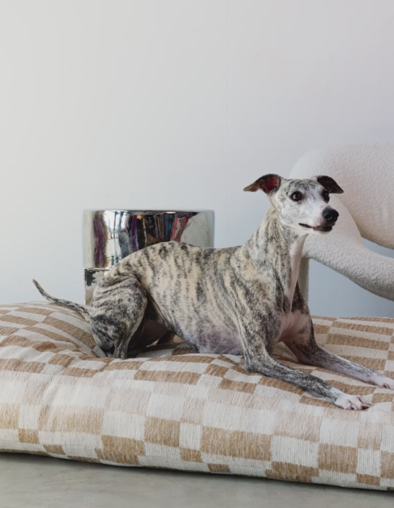 Italian hotsell greyhound bed