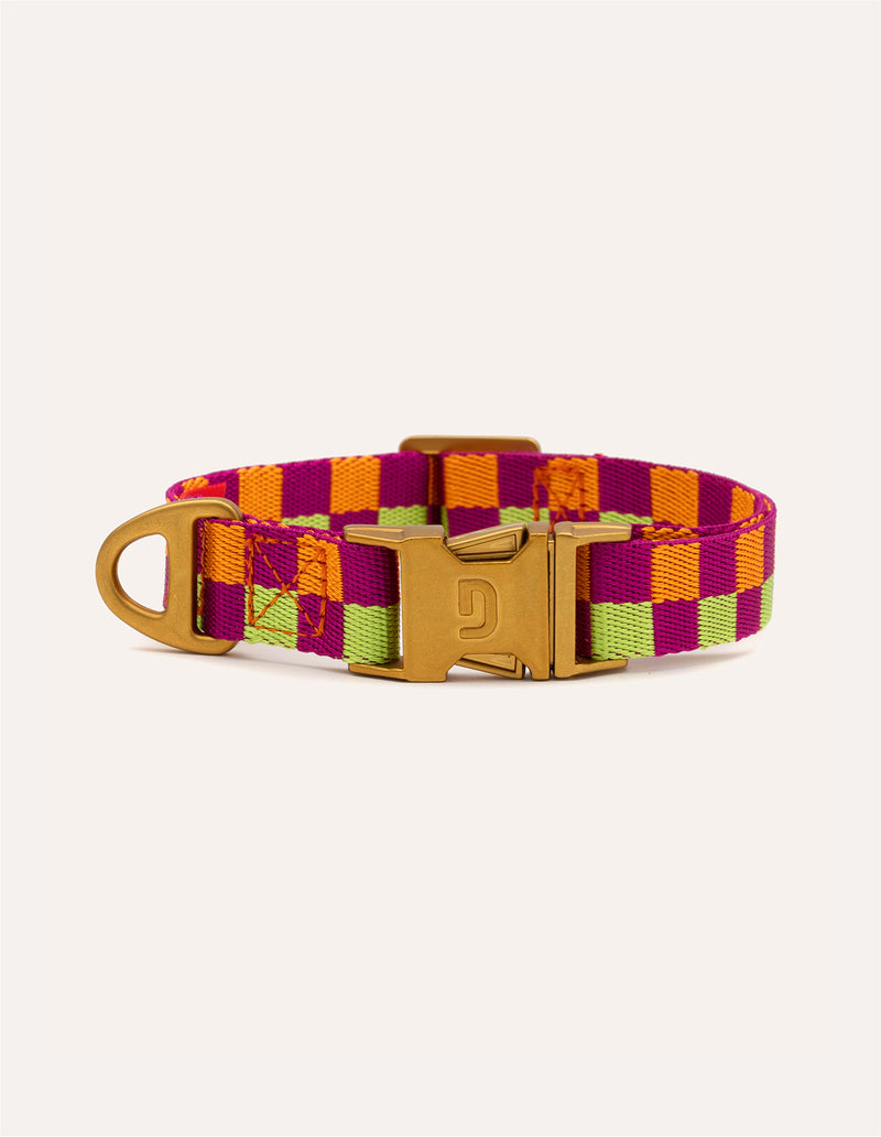 Vichy check collar
