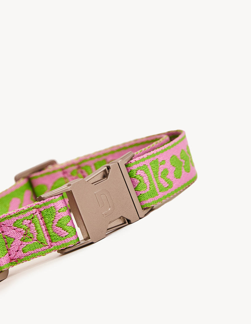 DL HALSBAND - GROEN / ROZE