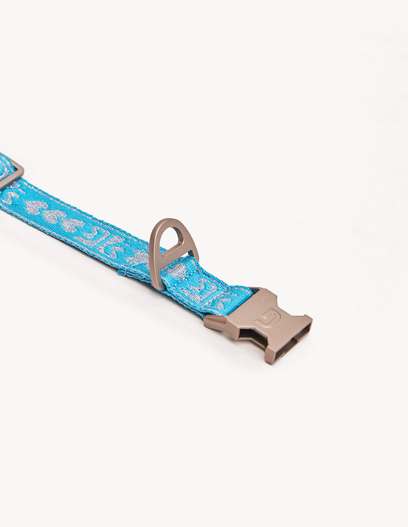 DL HALSBAND - BLAUW / ZILVER