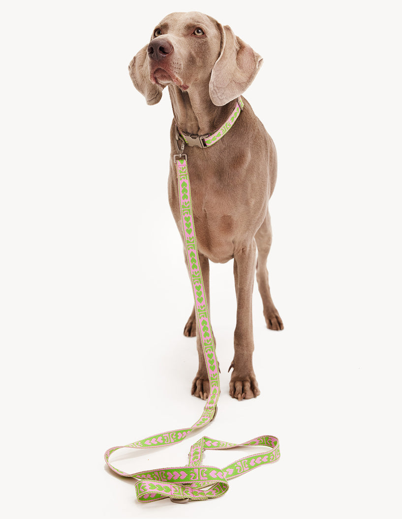 DL LEASH - GREEN / PINK