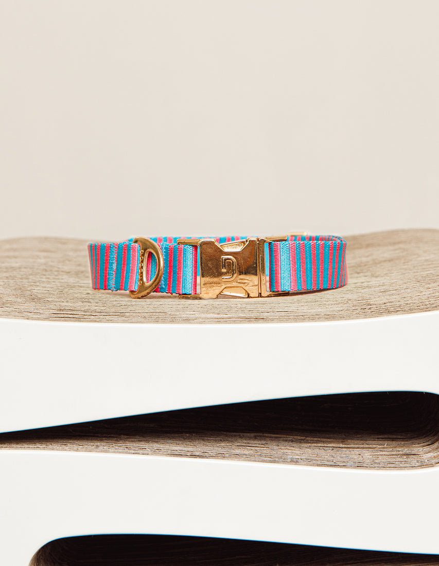 Stripe collar - blue / pink - size M